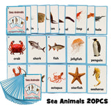 Children Baby English Learning Word Card