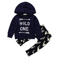 Baby Boy Long Sleeve Deer  Hooded Top & Pant