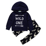 Baby Boy Long Sleeve Deer  Hooded Top & Pant